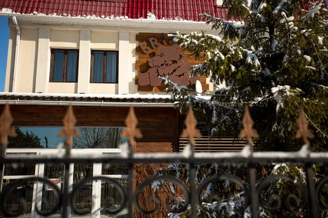 Гризли