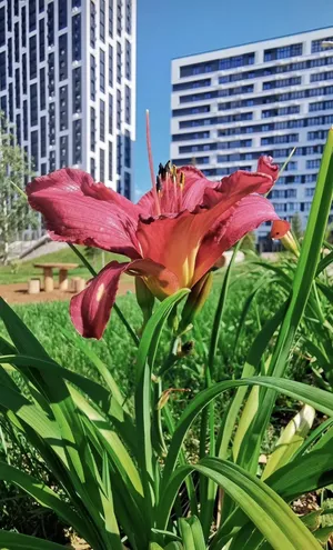 Фото 4