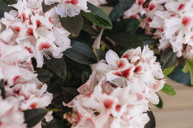 Фото 3