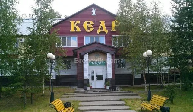 Кедр