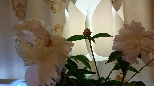 Энергия