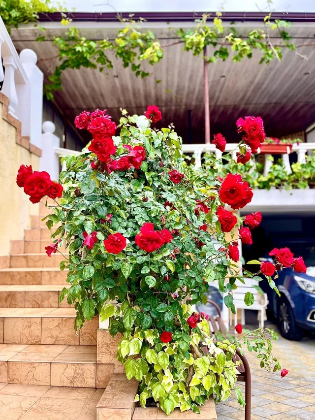 Фото 3