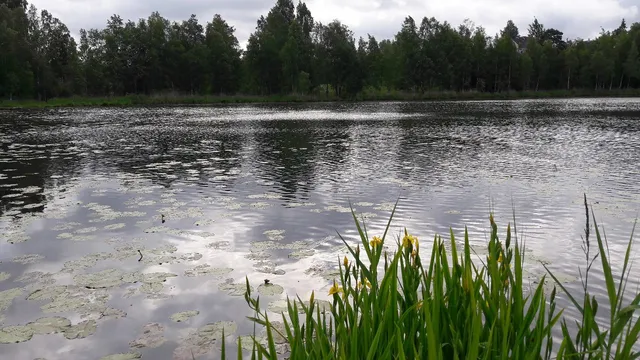 Фото 3