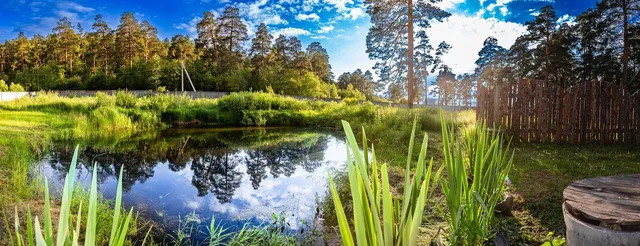 Фото 3