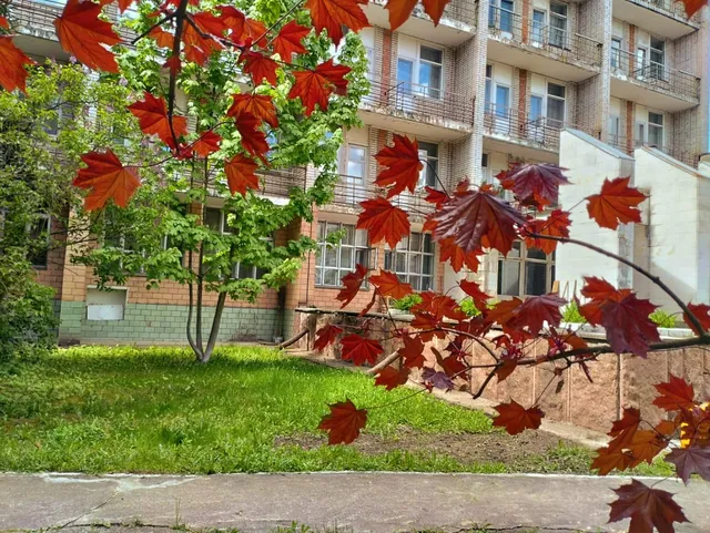 Фото 3