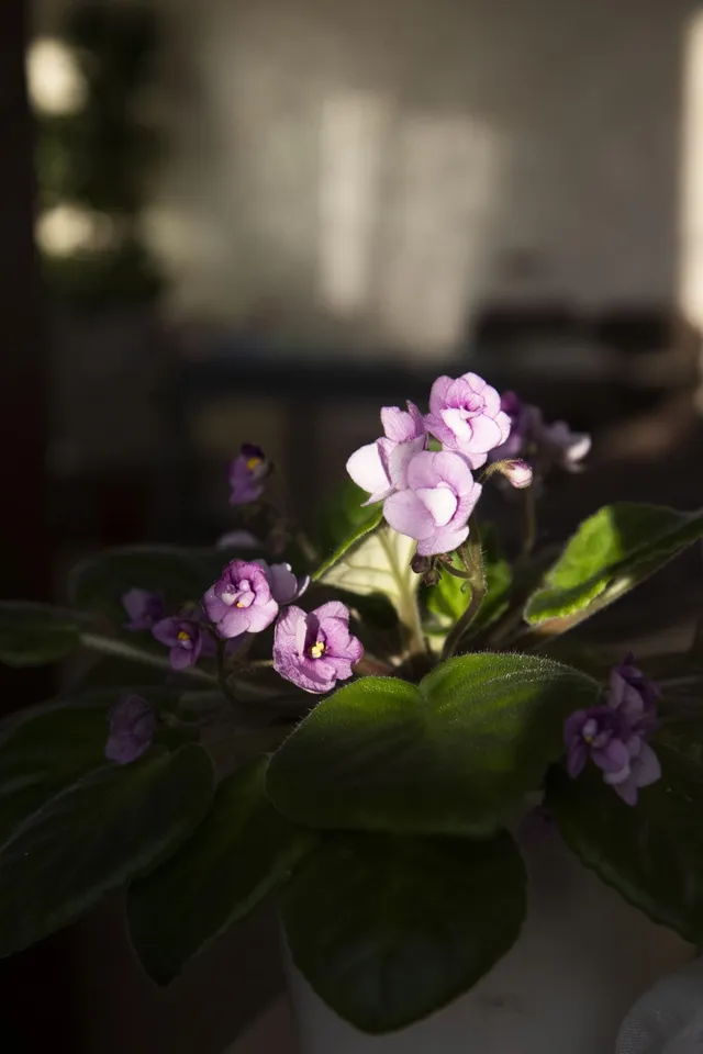 Фото 2