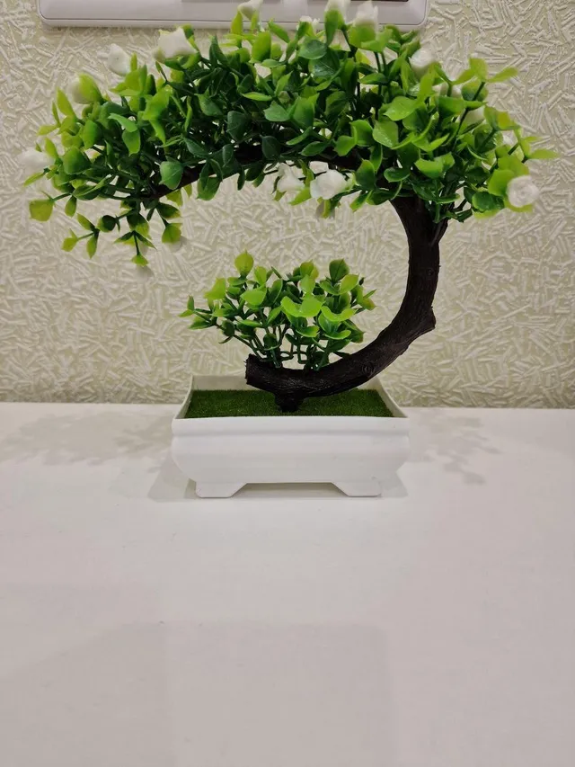 Фото 3