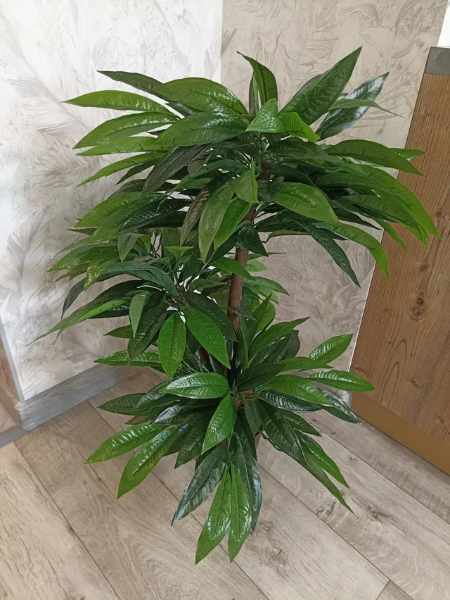 Фото 4
