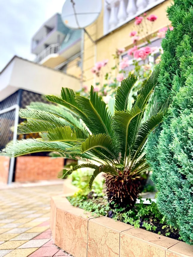 Фото 4