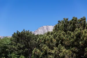 Фото 2