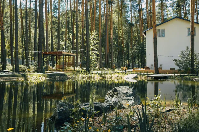 Загородный клуб Лес