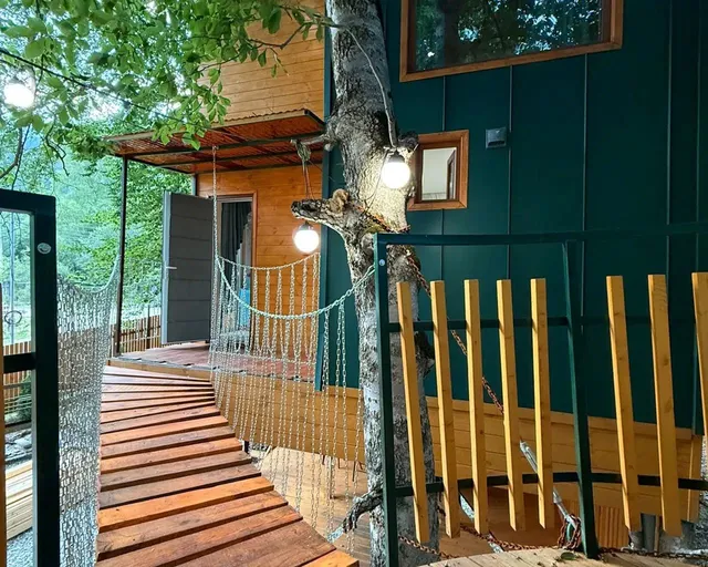 Фото 1