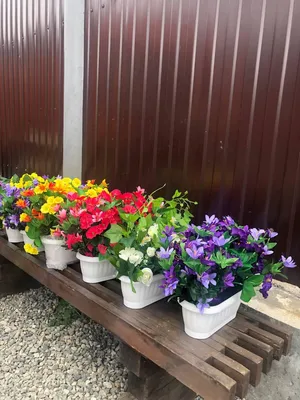 Фото 2