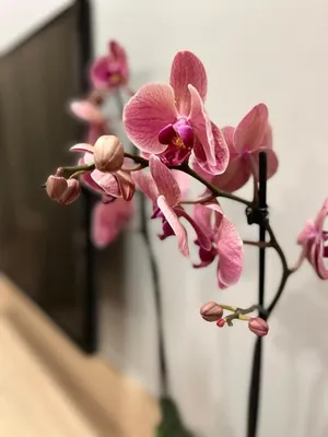 Фото 2