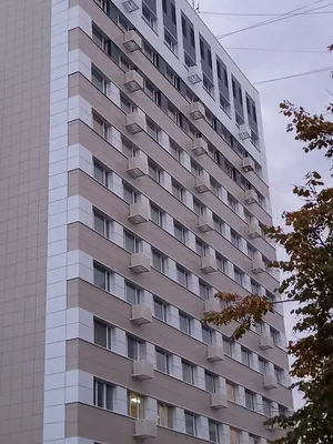 Реальные фото Заря