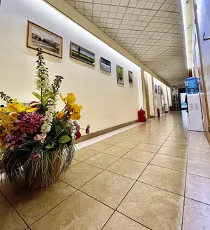 Реальные фото Владимирский дворик