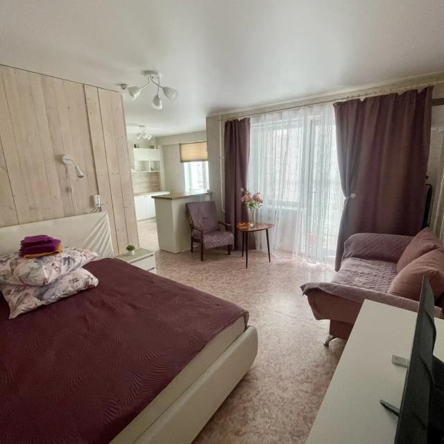 Stylish studio on Nasedkina Street 
