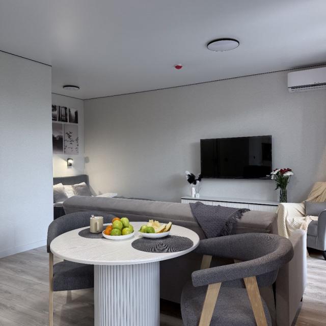 Apartment Grey House