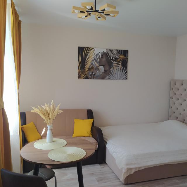 Comfortable studio on Korolev Street 