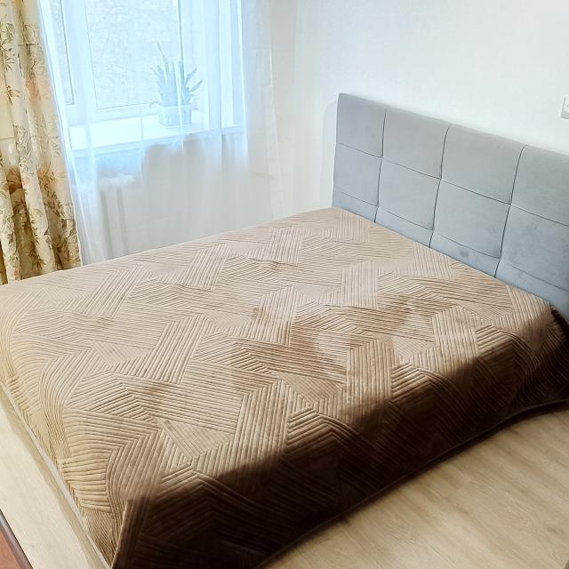 Apartments on Lenin Avenue 53