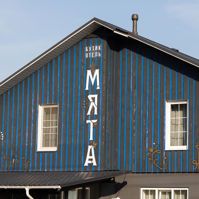 Мята
