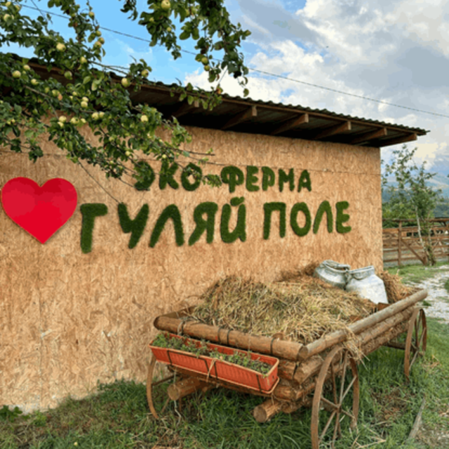 Гуляй поле