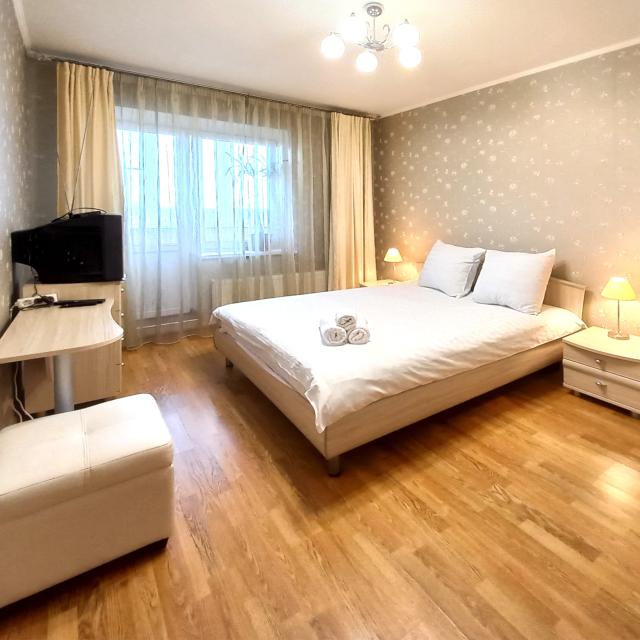 Apartments on Lenin Avenue 209