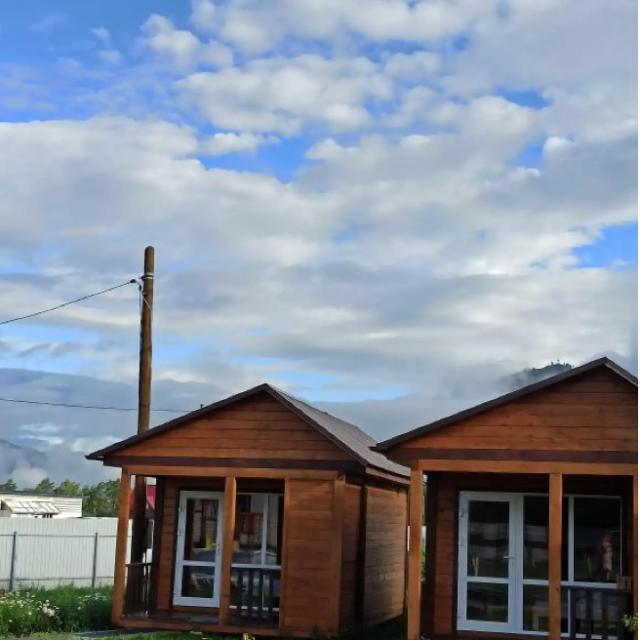 Altai Pro100 Otdykh 