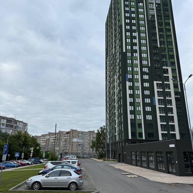 Квартира с видом на берёзовую рощу