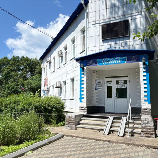 Чайка