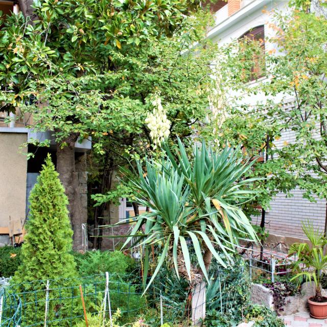 Guest House Radmir
