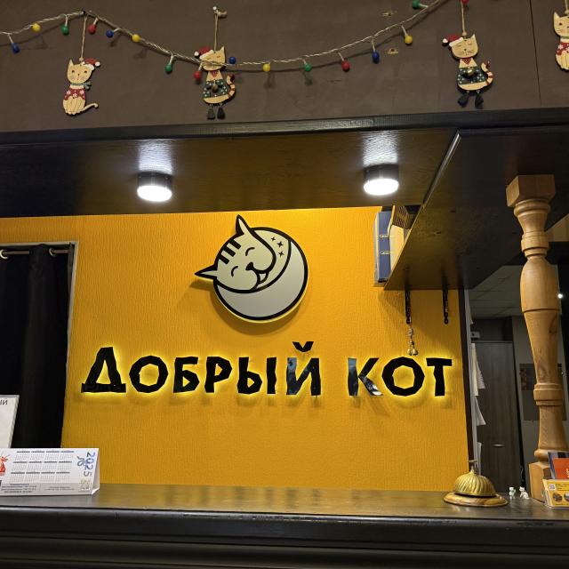 Добрый кот