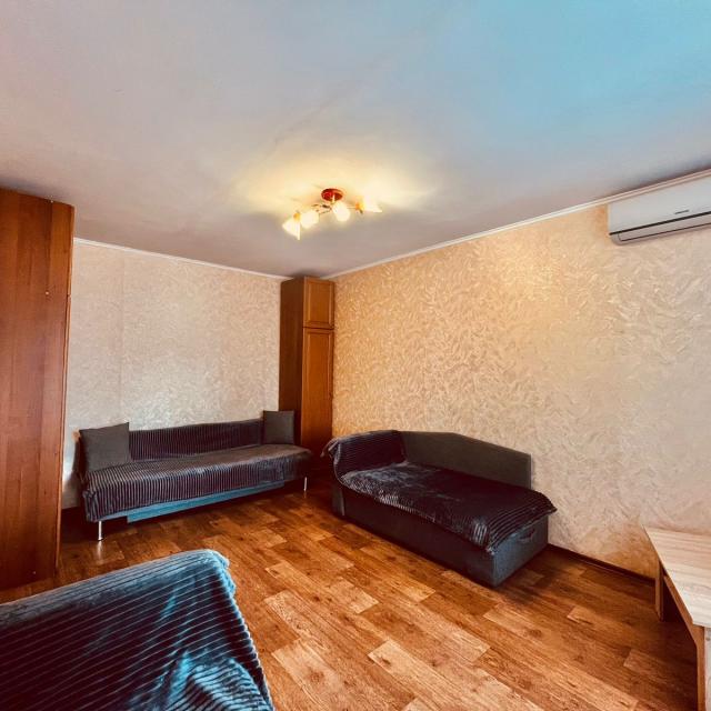 Apartment Level on Sovetskaya street 160