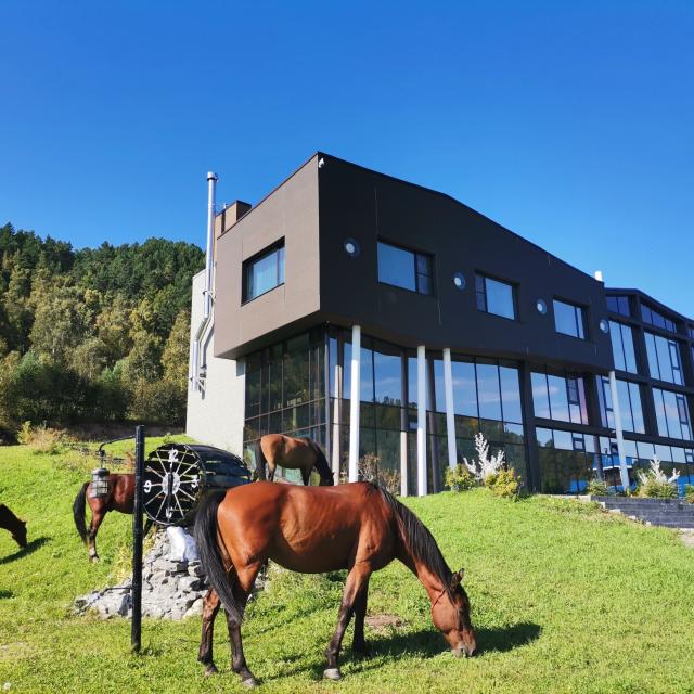 Baikal Hill Residence (Байкал Хилл Резиденс)