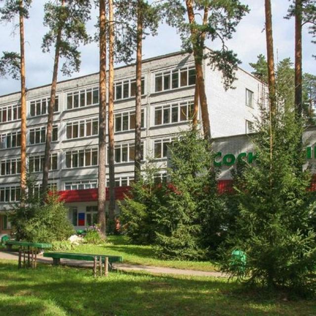 Sosnovyi bor