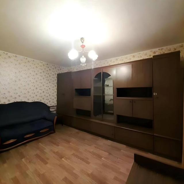Apartment Gallery of the Russian Federation on Peshekhonova 9