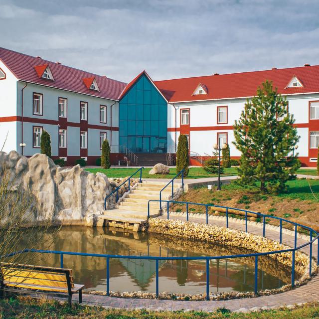 Амфора