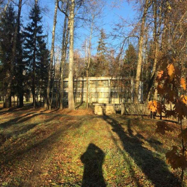 Каморка с лежанкой у окна