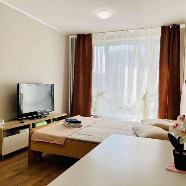 Michelin Apartments on Tolubeevsky Passage 