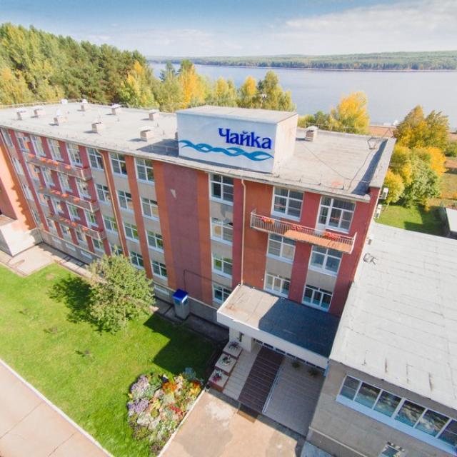 Чайка