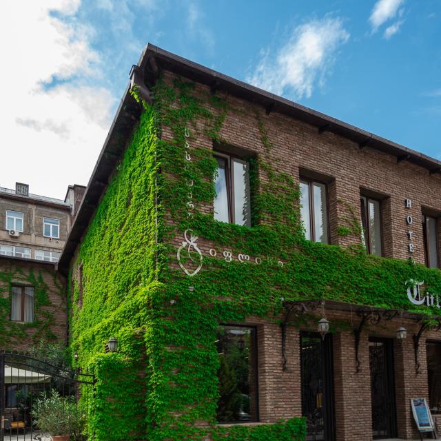 Tiflis (Тифлис)