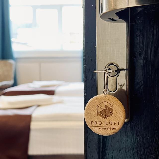 PRO LOFT city hostel & rooms (Пролофт)