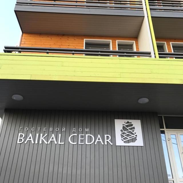 Baikal Cedar (Байкал Кедр)