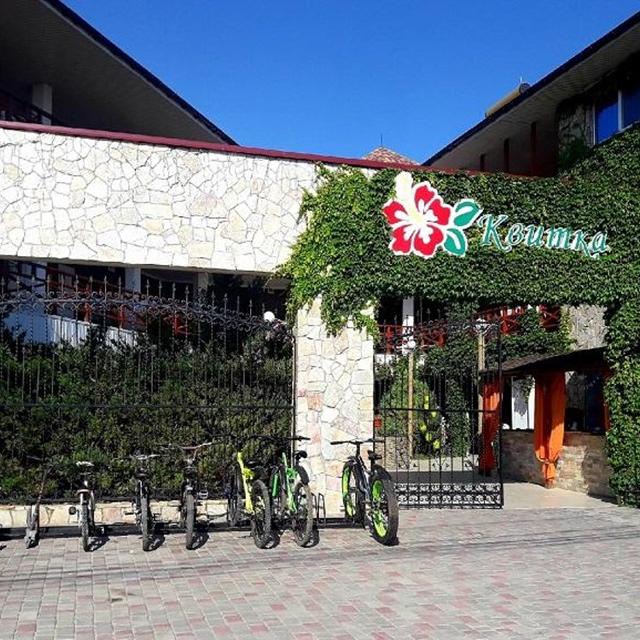 Kvitka