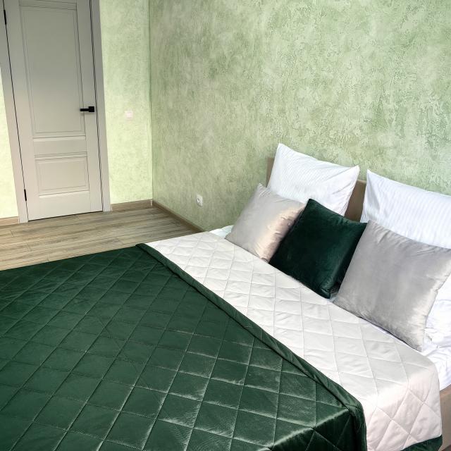Spacious one-bedroom apartment