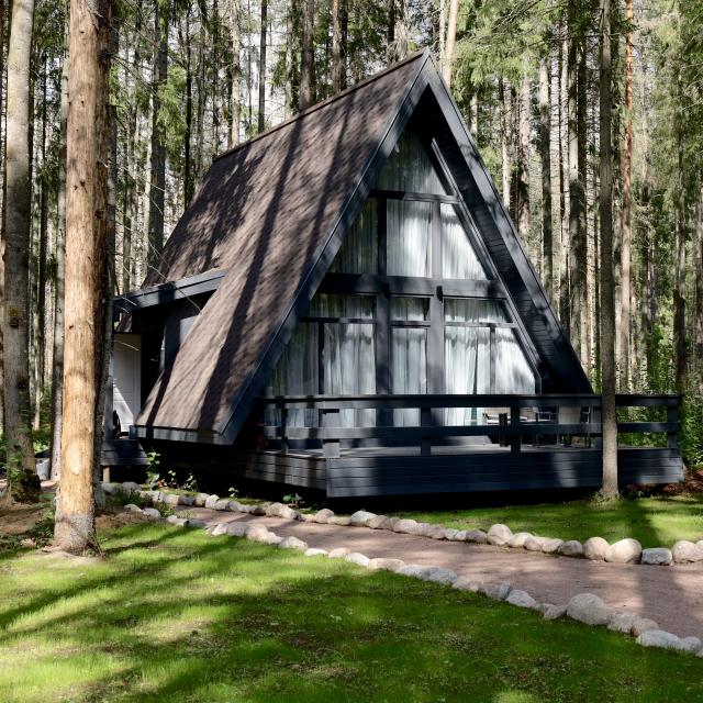 VIEW GA Симагинское озеро (VIEW GA Simaginskoye lake) (бывш.VIEW GA Wild Forest)