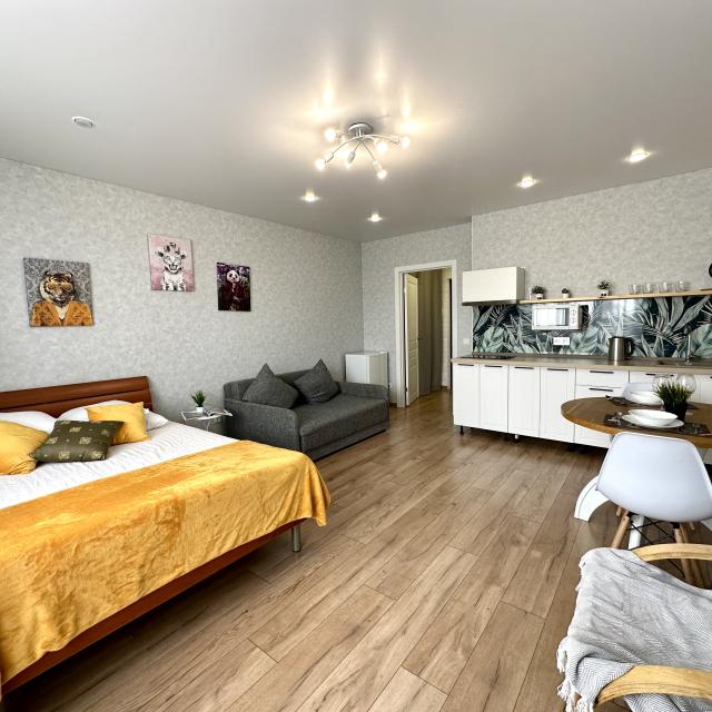 Studio from the company Home Hotel on Proletarskaya 300