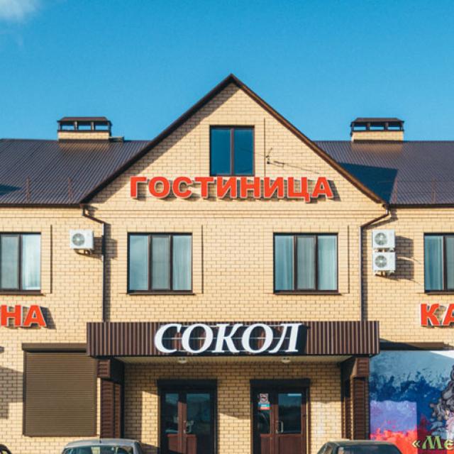 Сокол