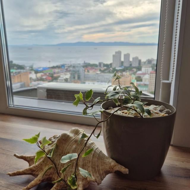 Cozy apartment on Ensign Komarov Street
