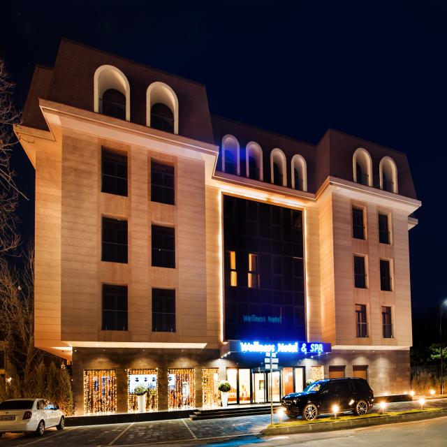 Wellness Hotel and Spa (Велнесс)